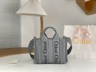 Chloe Original Quality Handbags 347