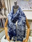 Louis Vuitton Scarves 166