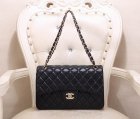 Chanel High Quality Handbags 433