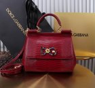 Dolce & Gabbana High Quality Handbags 681