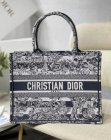 DIOR Original Quality Handbags 509