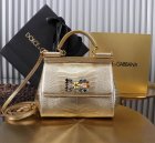 Dolce & Gabbana High Quality Handbags 679
