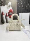 DIOR High Quality Handbags 165