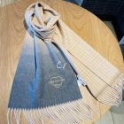 DIOR Scarves 17
