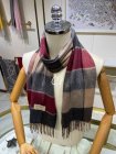 Burberry Scarves 53