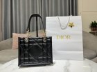 DIOR High Quality Handbags 500