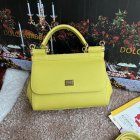 Dolce & Gabbana High Quality Handbags 210