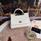 Dolce & Gabbana High Quality Handbags 196