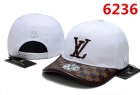 Louis Vuitton Normal Quality Hats 56