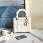 DIOR High Quality Handbags 23