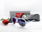Ray-Ban Normal Quality Sunglasses 117