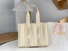 Chloe Original Quality Handbags 352