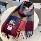 Burberry Scarves 145
