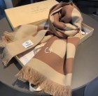 Burberry Scarves 396