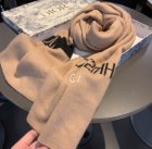 DIOR Scarves 31