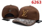 Louis Vuitton Normal Quality Hats 53