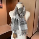Burberry Scarves 114