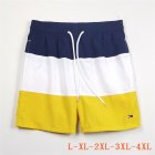 Tommy Hilfiger Men's Shorts 17
