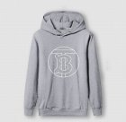 Burberry Men's Hoodies 105