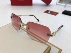 Cartier High Quality Sunglasses 1263