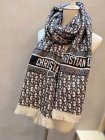 DIOR Scarves 55