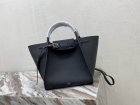 CELINE Original Quality Handbags 1079