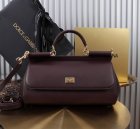 Dolce & Gabbana High Quality Handbags 741