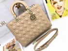 DIOR Original Quality Handbags 1059