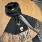 Burberry Scarves 241