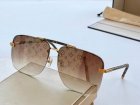 Louis Vuitton High Quality Sunglasses 3685