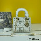 DIOR High Quality Handbags 233