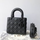 DIOR High Quality Handbags 24