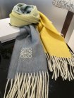 Loewe Scarves 67