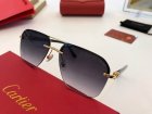 Cartier High Quality Sunglasses 221