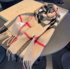 Burberry Scarves 02