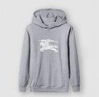 Burberry Men's Hoodies 228