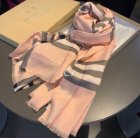 Burberry Scarves 304