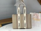 Chloe Original Quality Handbags 162