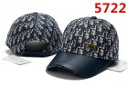 DIOR Hats 184