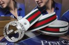 Gucci Normal Quality Belts 491