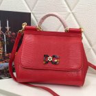 Dolce & Gabbana Handbags 128