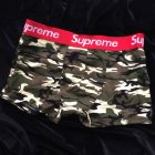 Louis Vuitton Men's Underwear 01
