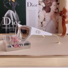 DIOR High Quality Sunglasses 1387