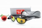 Ray-Ban Normal Quality Sunglasses 98