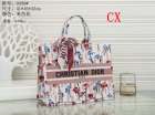 DIOR Normal Quality Handbags 196
