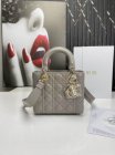 DIOR High Quality Handbags 166