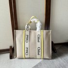 Chloe Original Quality Handbags 106