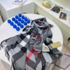 Burberry Scarves 462