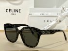 CELINE High Quality Sunglasses 321