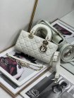DIOR High Quality Handbags 48